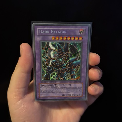 Dark paladin dmg 001 near - dmg-001,