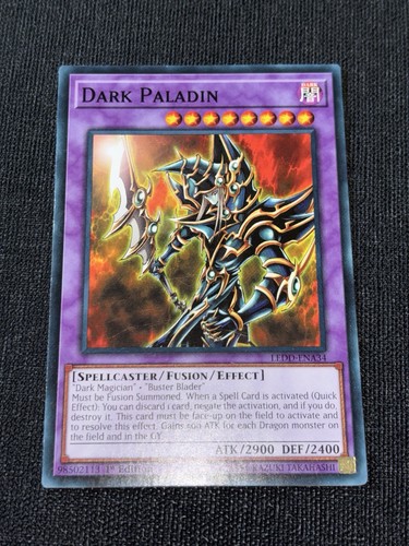 Dark paladin ledd ena34 - dark,